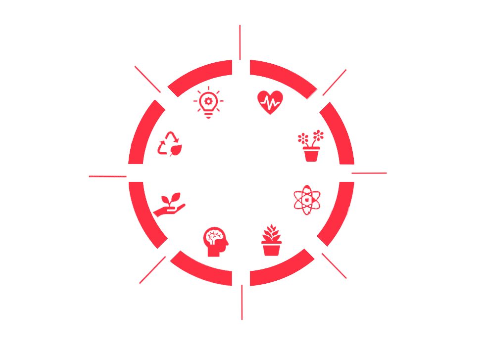 Digital Marketing in dehradun